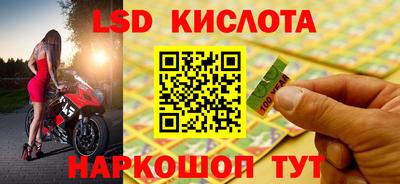 сатива Будённовск
