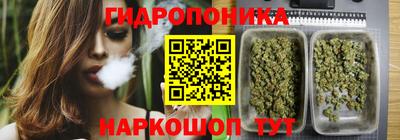 сатива Будённовск