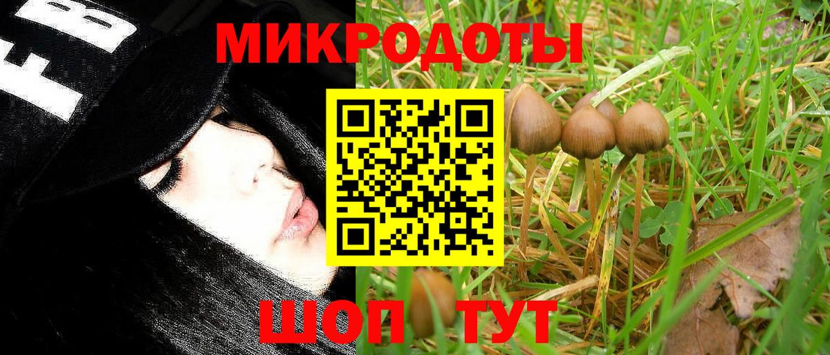 где купить   Галлюциногенные грибы Psilocybe  Вход с VPN  Пугачёв 